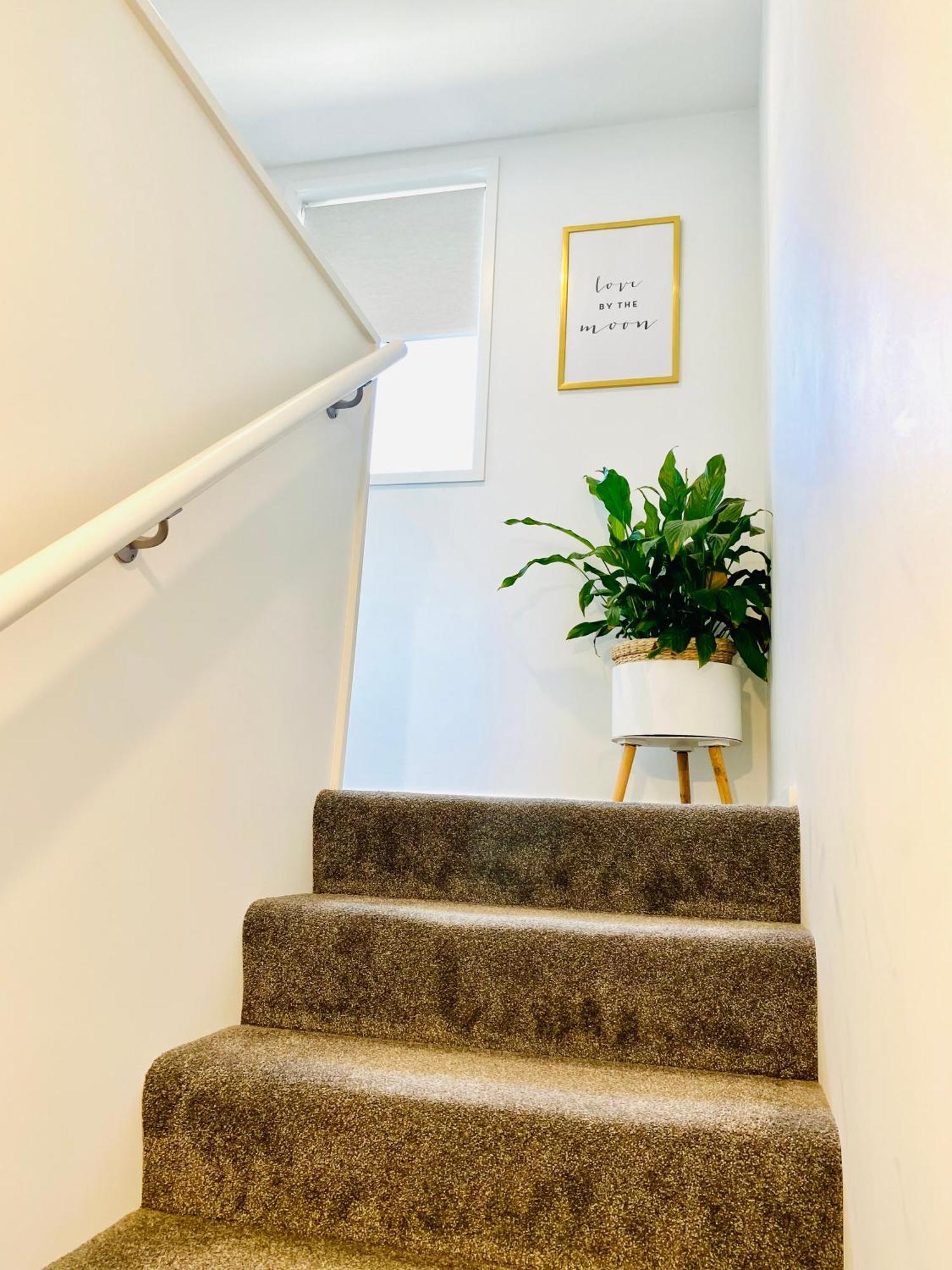 Perfect Modern Townhouse Cbd 크라이스트처치 외부 사진